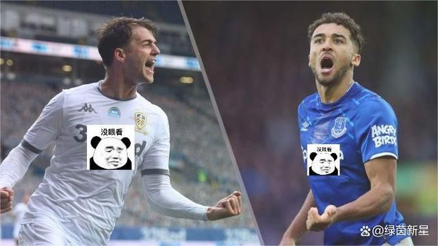 国产农村三片免费网站