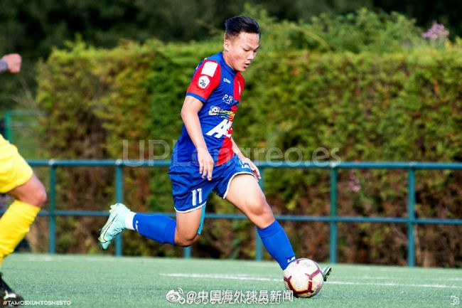 亚洲人成在线播放网站岛国