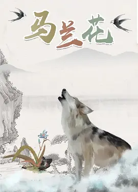 91视频站