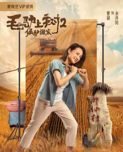 亚洲成a人片在线观看www流畅