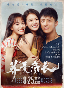 aa视频在线观看
