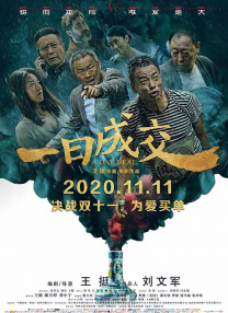 国产99久久久久久免费看