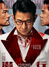 久久国产精品视频观看