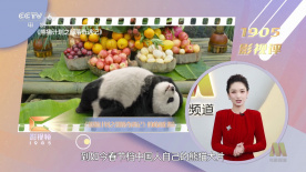 亚洲免费资源